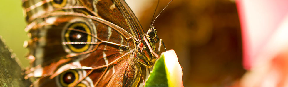 【使用方法详解】通俗易懂的短信轰炸机网页版在线